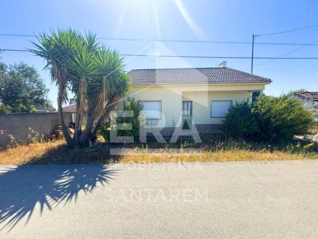 5 quarto, Santarém Santarém 104756745
