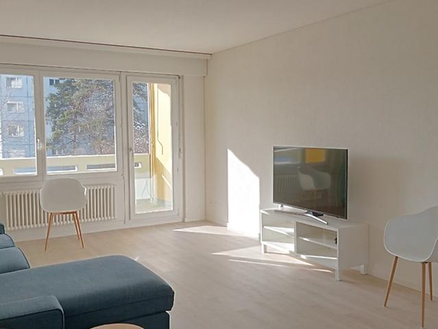 5½ room apartment in Volketswil ZH, furnished