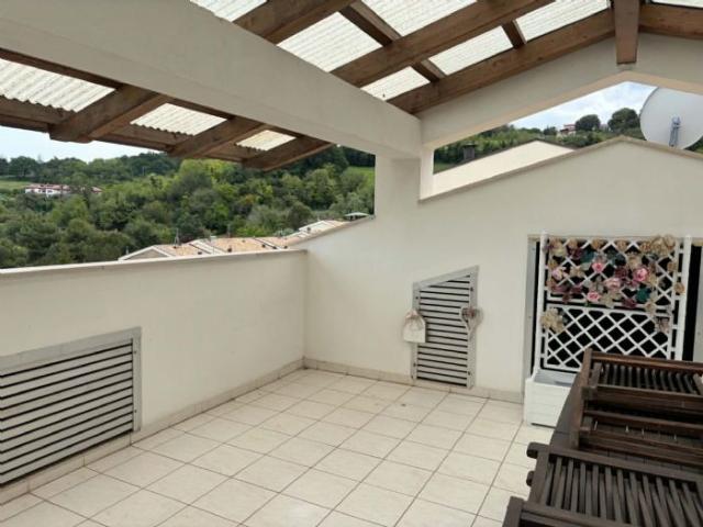 5 stanze in affitto