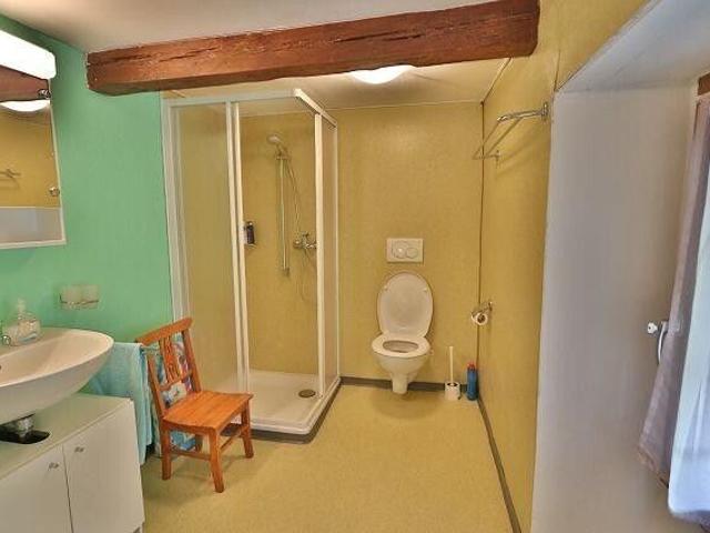 5 Zimmer Rustico und grosses Haus zum Ausbauen / rustico di 5 locali con casa grande da ristrutturare | dreamo. Ch