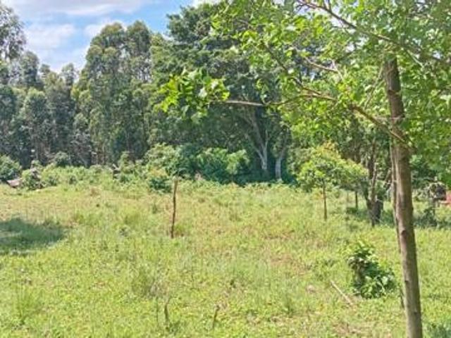 5 000 m² Land available in Empangeni Central
