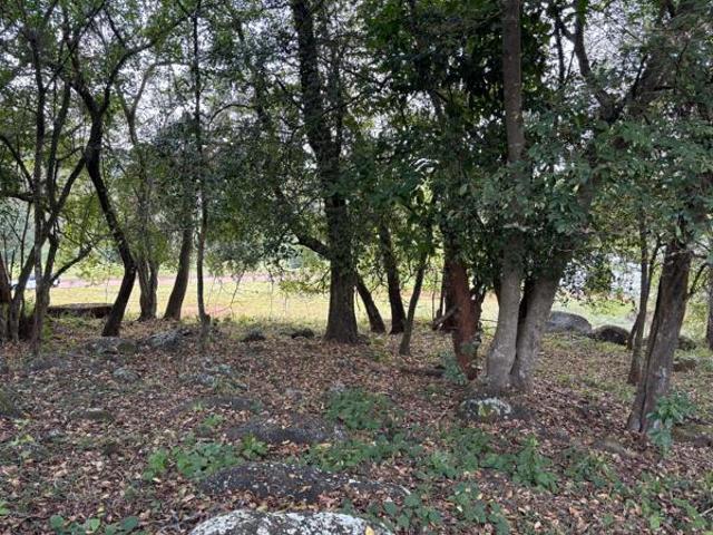 5 000 m² Land available in Tzaneen
