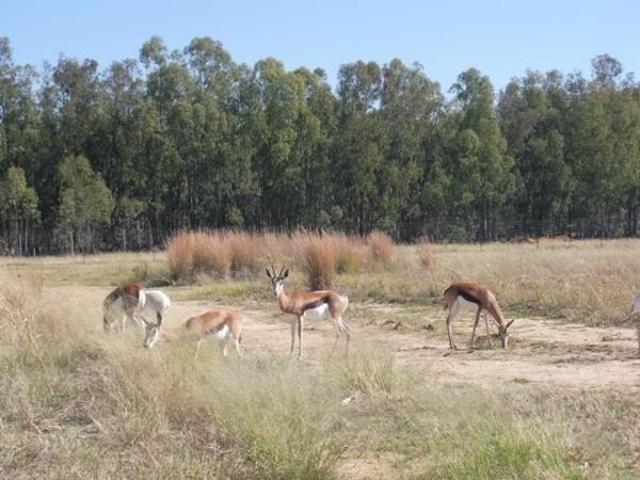 5 000 m² Land available in Wilkoppies