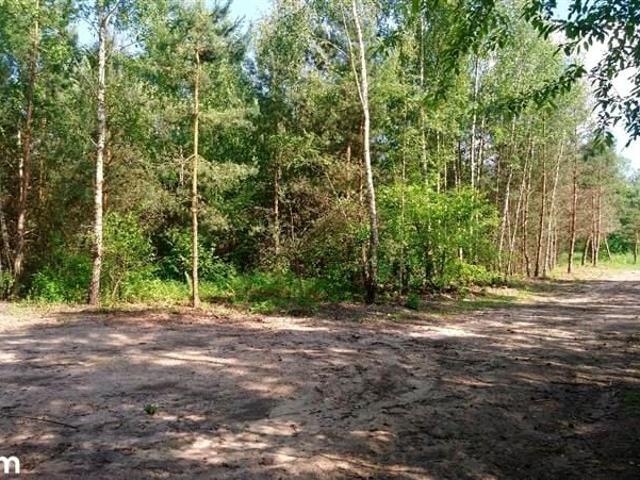 5 000 m², Starogard Gdański