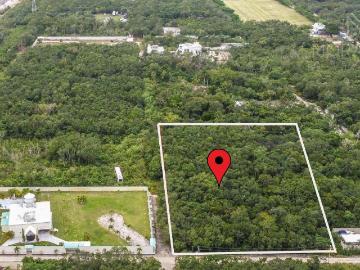 5,000M2 TERRENO EN VENTA COLONIA DOCTORES II CERCA DE AV. CHAC MOOL