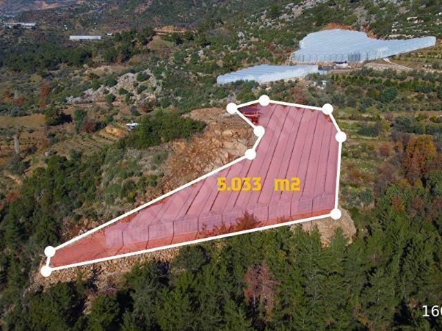 5.033 m Kapalı Muz Serası Güneş Enerjili Takas Açık