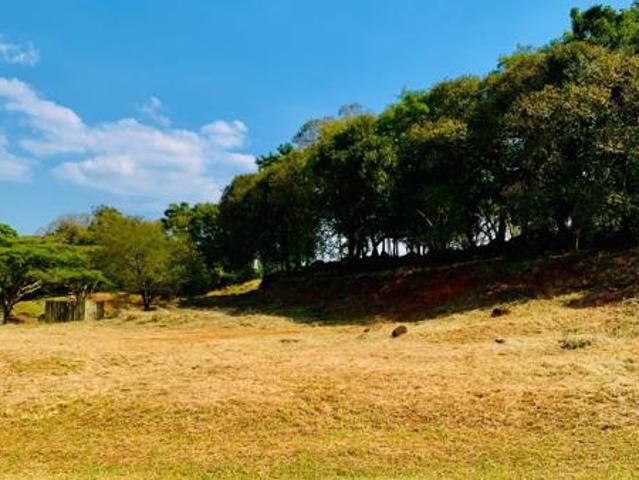 5 105 m² Land available in Tzaneen