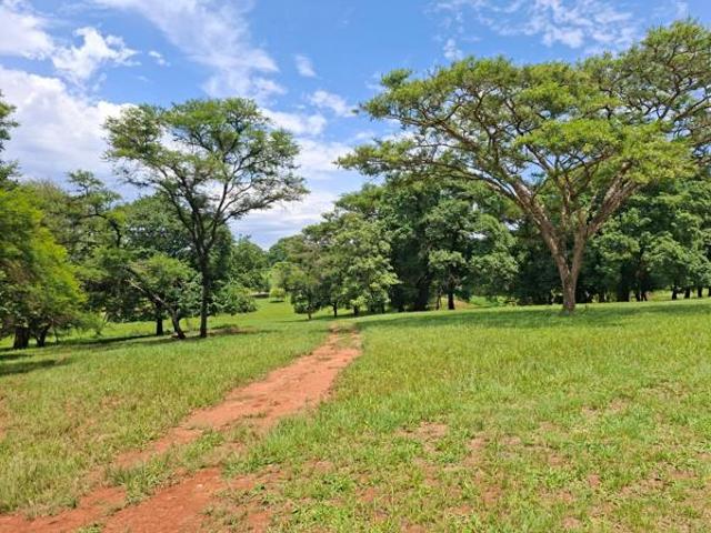 5 118 m² Land available in Tzaneen