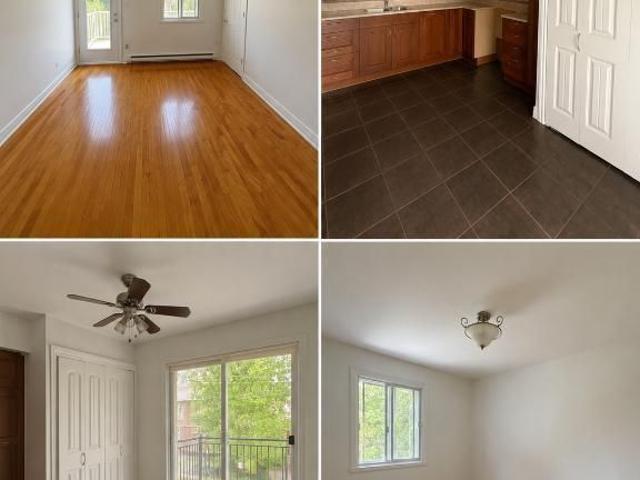 5 1/2 Hochelaga Maisonneuve Viauville