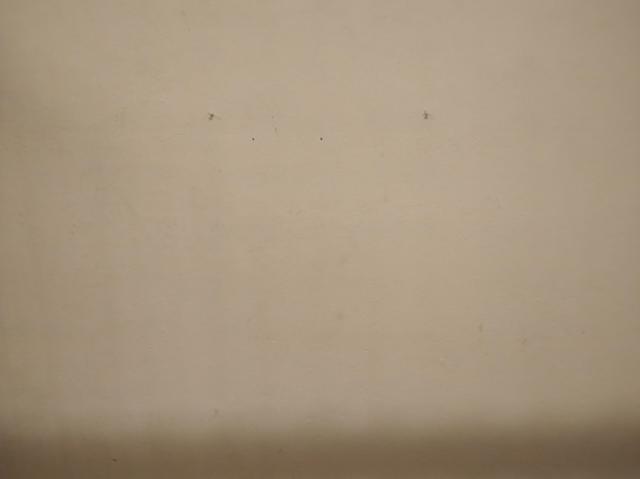 5.24m2 Lagerraum Bern Schwarztorstrasse 40