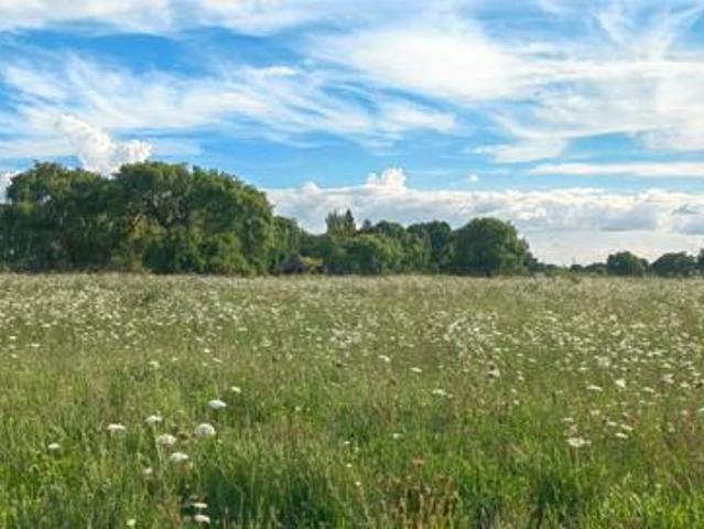 5 343 m² Land available in Grimbeek Park