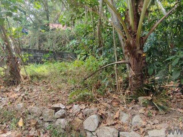 5.31Cents Sq. ft Plot for Sale in Kachani, Trivandrum