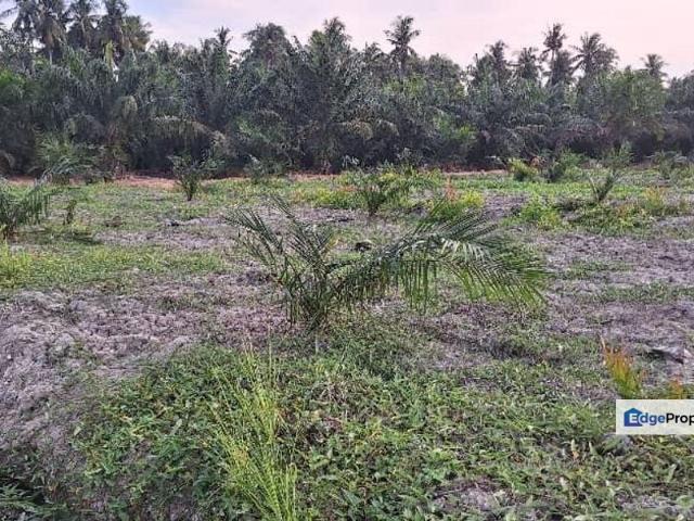 5.3 Acres Agriculture Land @ Bagan Datoh, Perak