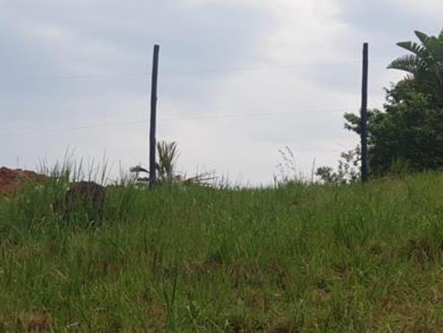 5 465 m² Land available in Palm Beach