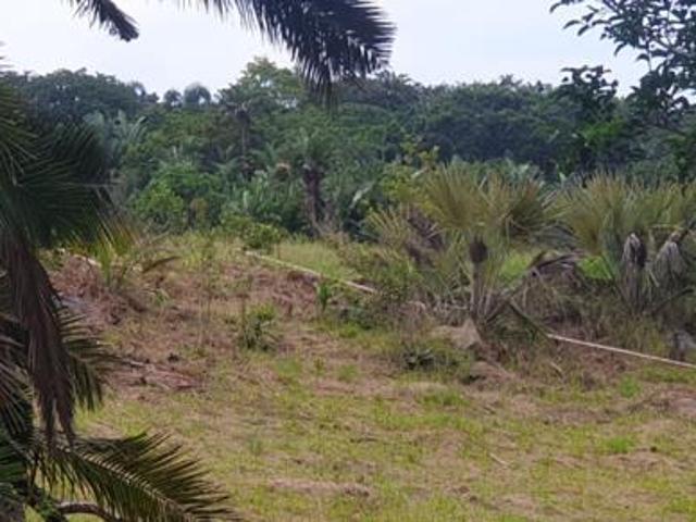 5 468 m² Land available in Palm Beach