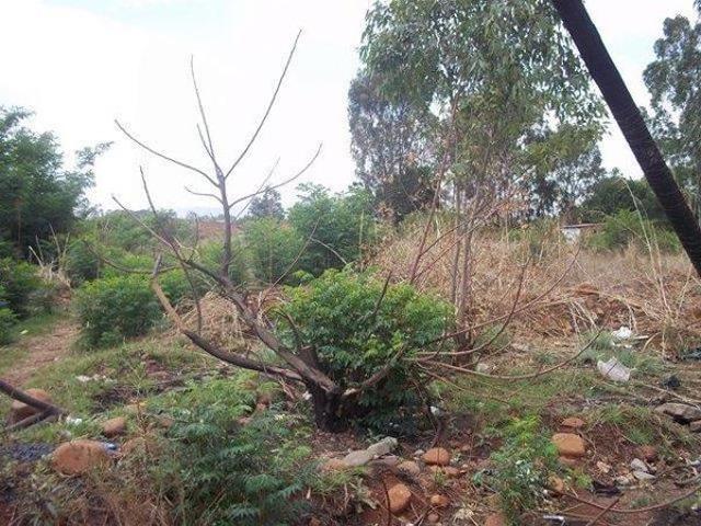 5 400 m² Land available in Lydenburg Mashishing