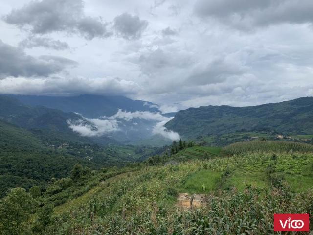 5.500m2 Đất Thôn Mò Phú Chải Y Tý Sapa 2 Có Trích Đo Nơi Săn Mây, Săn Tuyết Đẹp Nhất Y Tý