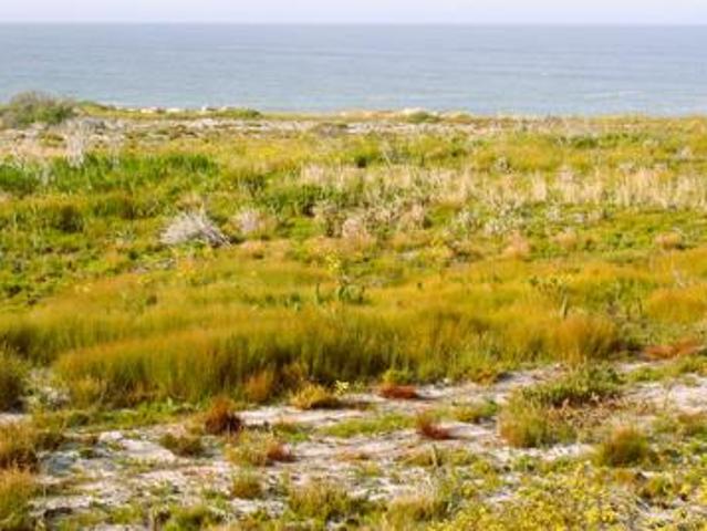 5.5 ha Land available in Bettys Bay