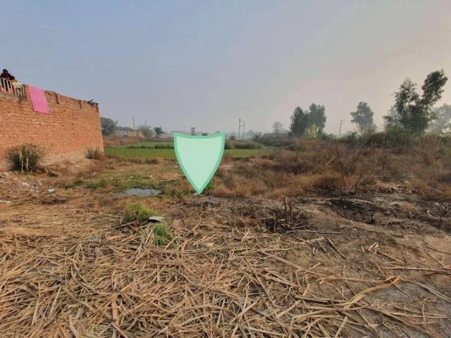 5.5 Marla Plot Near Wadi e Sitara Valley / Toll Plaza Faisalabad ID 50089
