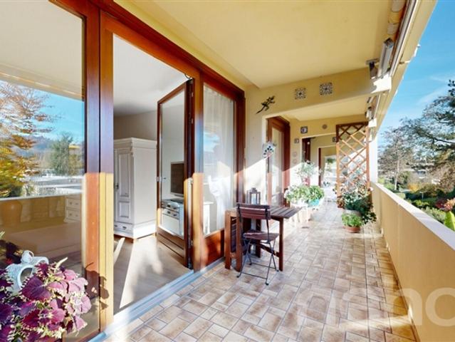 5.5 Room apartment
