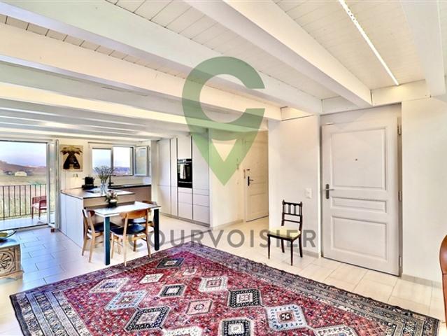 Helles Penthouse, geschmackvoll renoviert, Blick auf die Weinberge und den See
