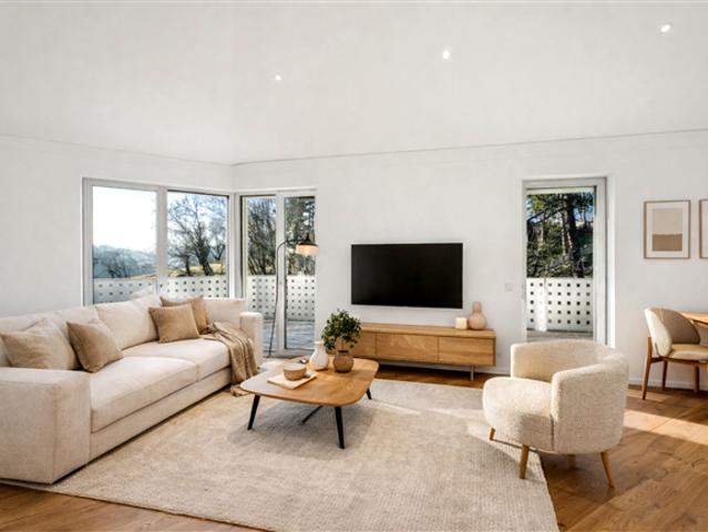 5.5 Room attic apartment