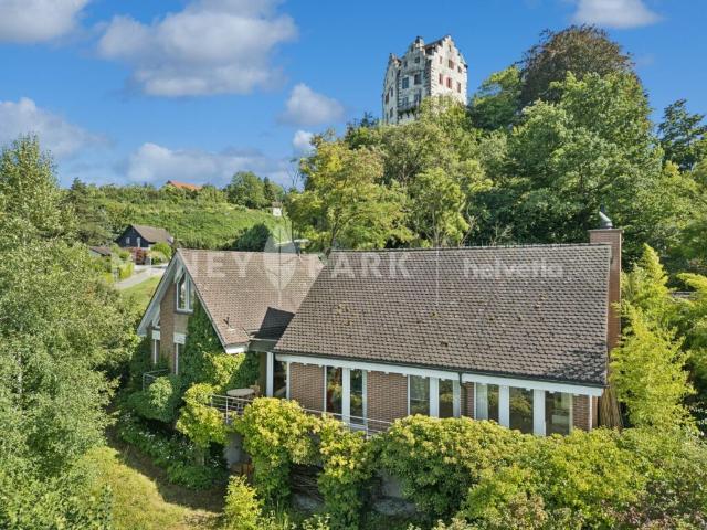 5.5 Zimmer Einfamilienhaus mit traumhaftem Seeblick