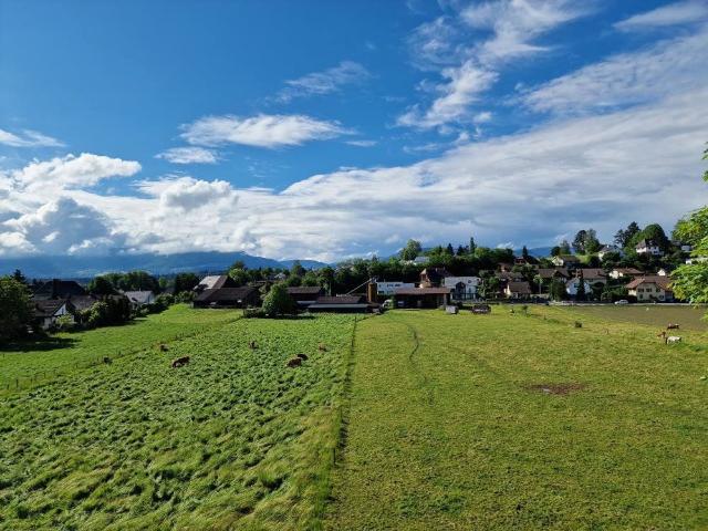 5.5 Zimmer, 108 m², 3. Stock
