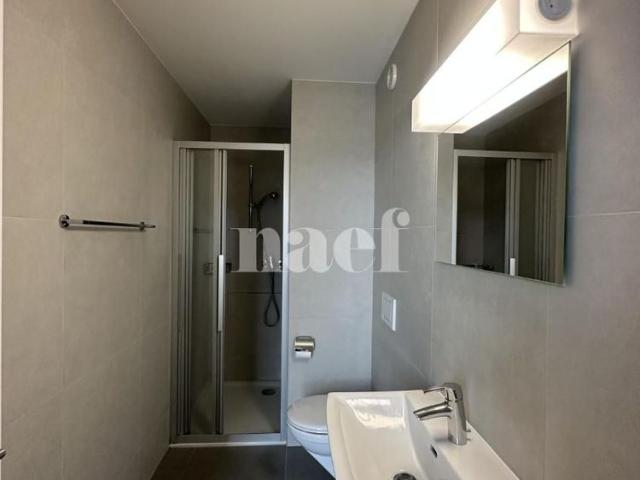 5.5 Zimmer, 120 m², 3. Stock