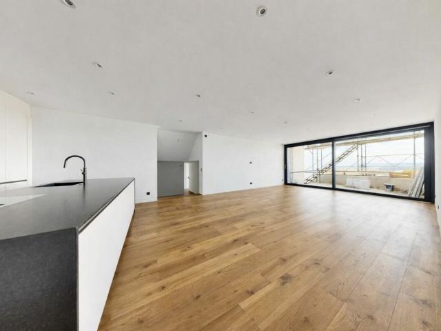 5.5 Zimmer, 220 m²