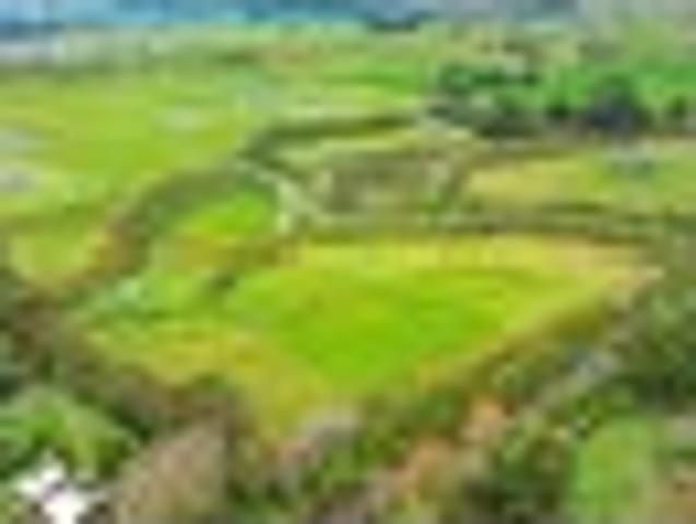 5.6 acres just 10 minutes from the CBD