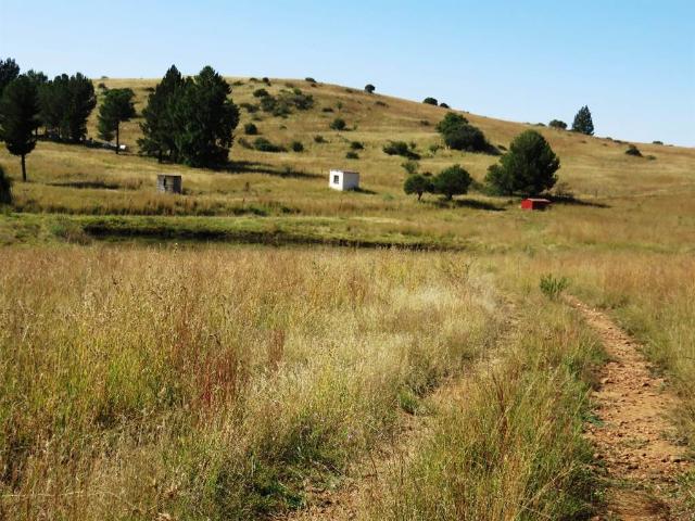 5.6 ha Smallholding in Deneysville