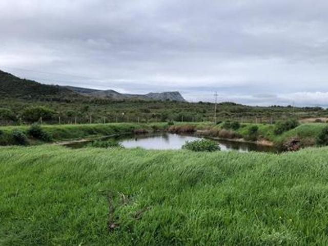 5.98ha farm on the market in franskraal