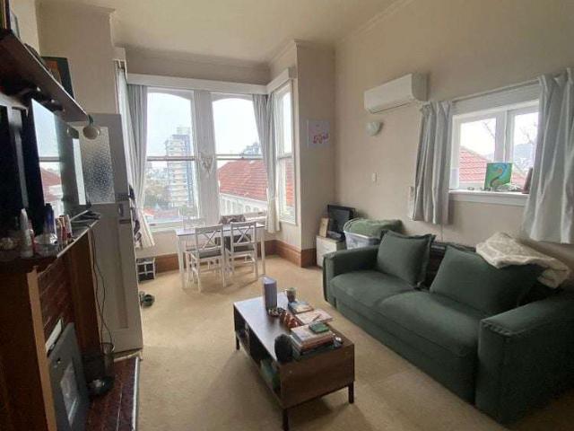 5A Boston Terrace, Aro Valley, Wellington City