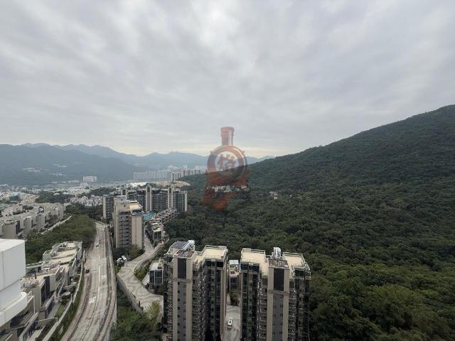 5房3套 平台+天台