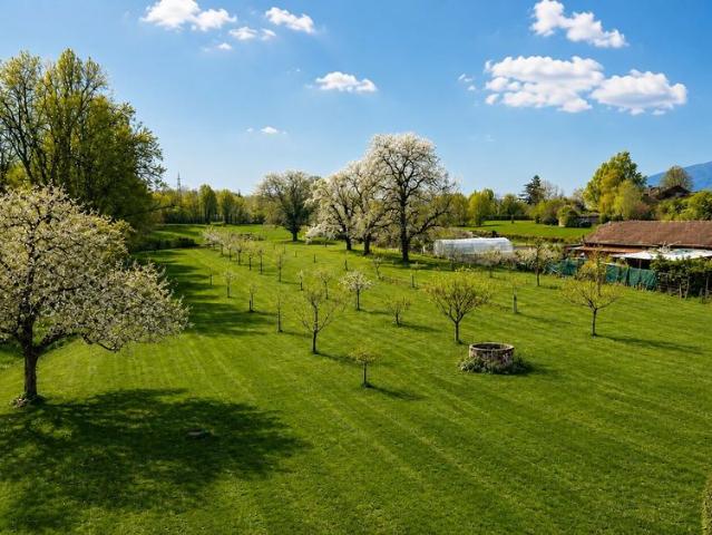 Spacious apartment in the heart of the Geneva countryside