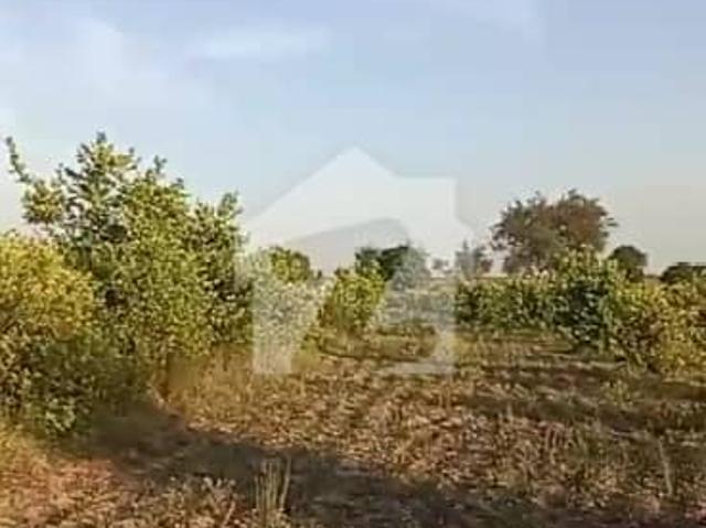63 Kanal Agricultural Land For Sale In Neela Dullah