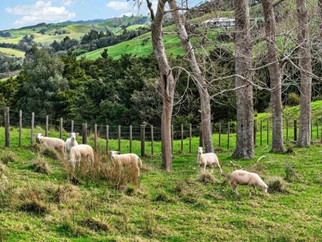 63 Porter Road, Paparoa, Kaipara