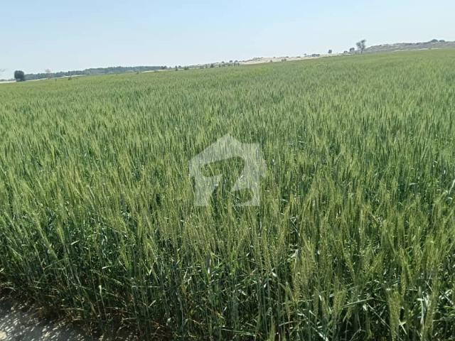 600 Kanal For Sale From MULTAN 50 Km Low Price