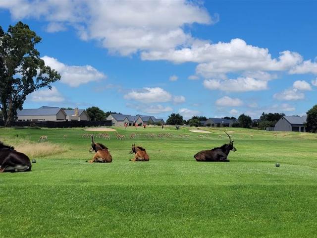 600 m² Land available in Vaalpark