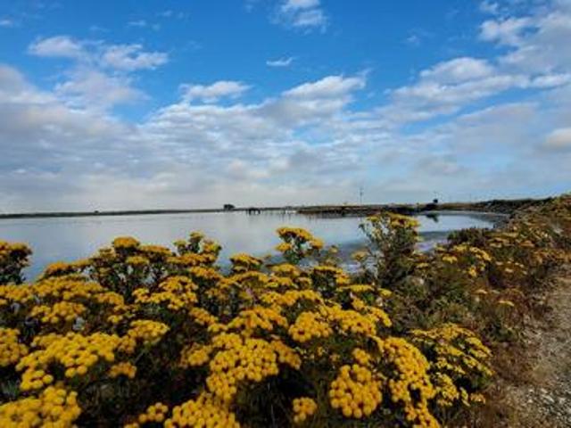 600 m² Land available in Velddrif