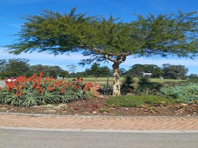 600 m² Land available in Wedgewood Golf Estate