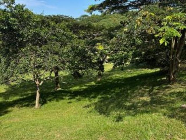 600 m² Land available in Pennington