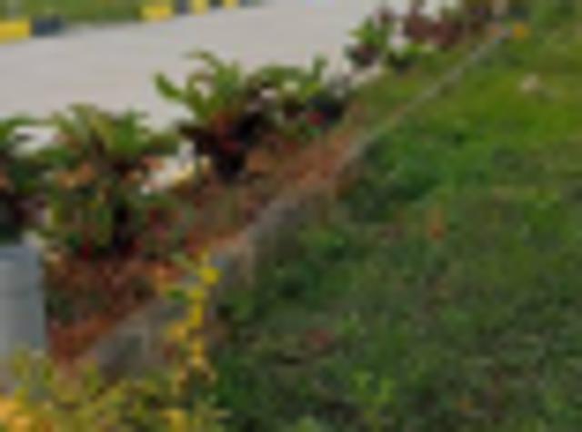 600 Sq. ft Plot for Sale in Hosur Road, Bangalore