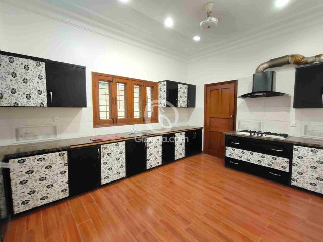 600 Yd² House for Rent