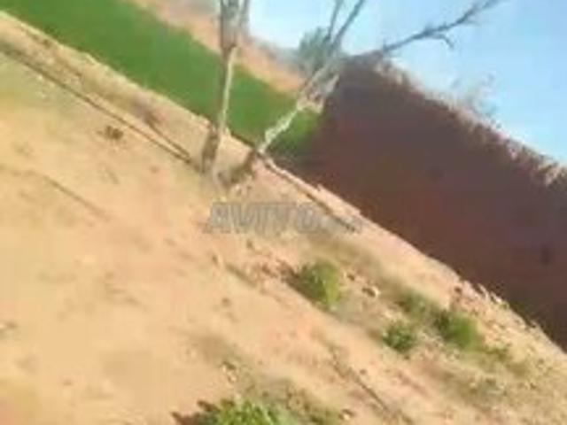 600m2 ارض ملكية عدلية بها دار قديمة للبيع