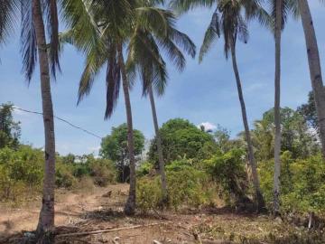 600sqm Residential Farm for Sale in San Lorenzo Guimaras [Lots ] April 2025 in San Lorenzo, Guimaras for sale