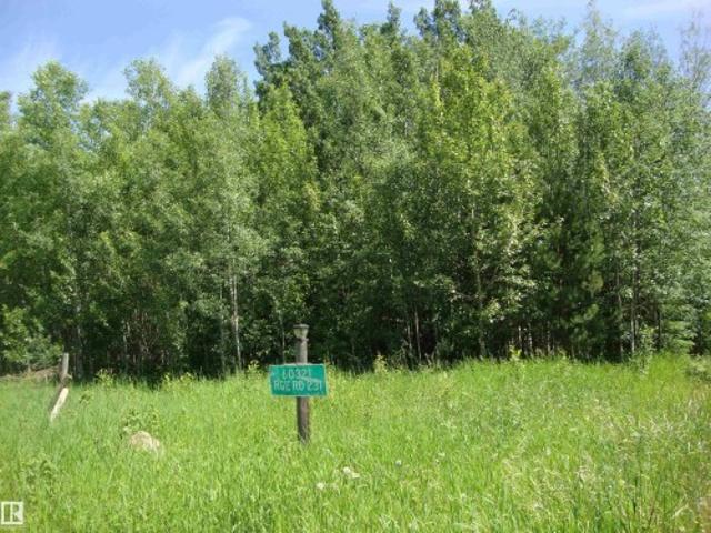 60321 Rr231, Rural Thorhild County, AB, T0A 3J0 vacant land for sale | Listing ID E4496 | Royal LePage