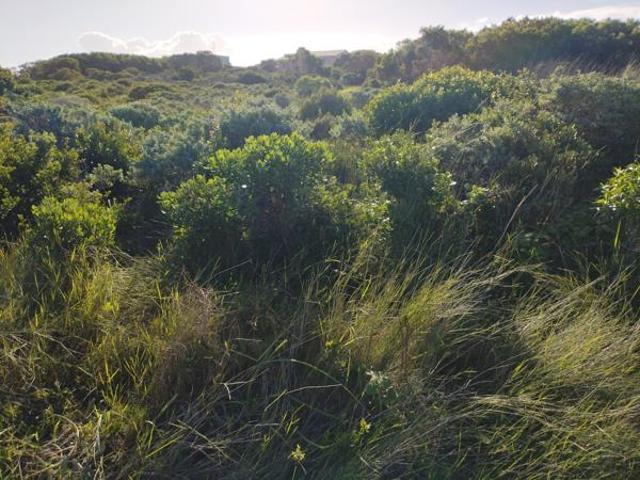 603 m² Land available in Kleinbaai