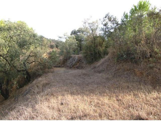 6062 M2 PARCELA RUSTICA CON LUZ Y AGUA